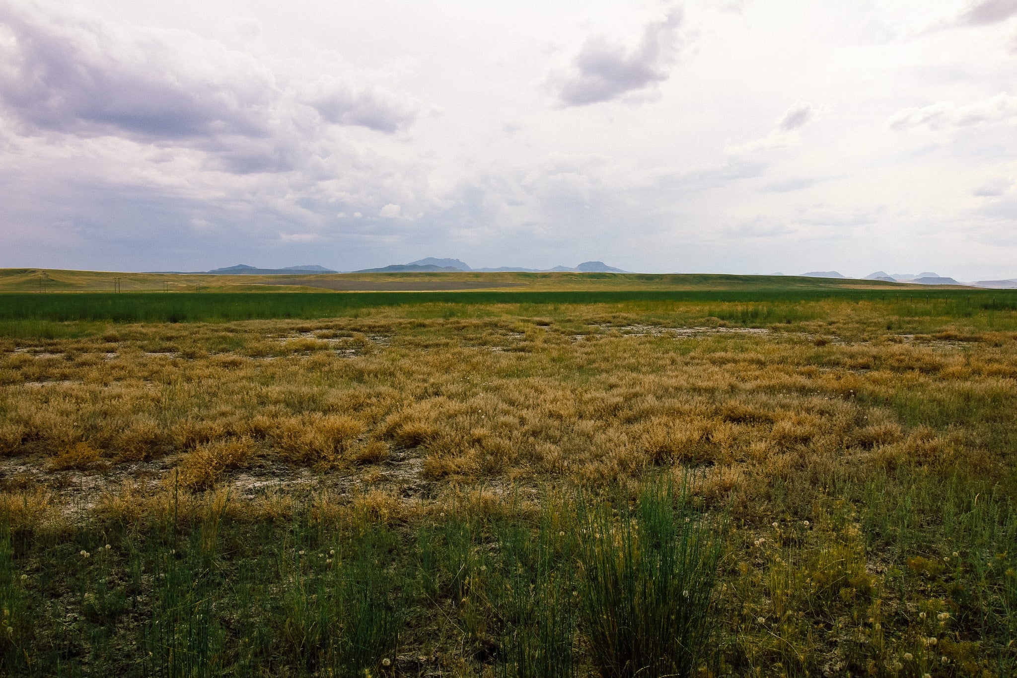 Little Little Muddy Creek Ranch Cascade, MT 59421 - Photo 16 of 41 Gallery Image 16