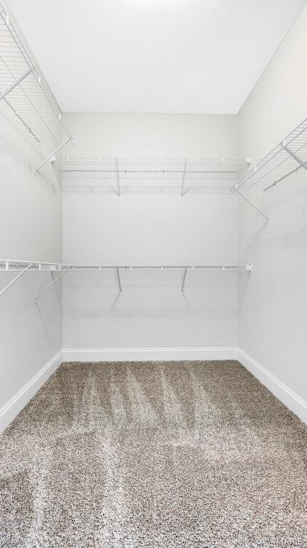 149 Hvn Rdg Court Dardenne Prairie, MO 63368 - Photo 31 of 39