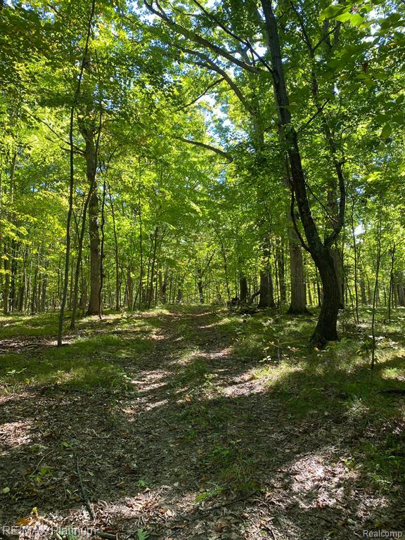 9532 Scully Road Whitmore Lake, MI 48189 - Photo 14 of 27