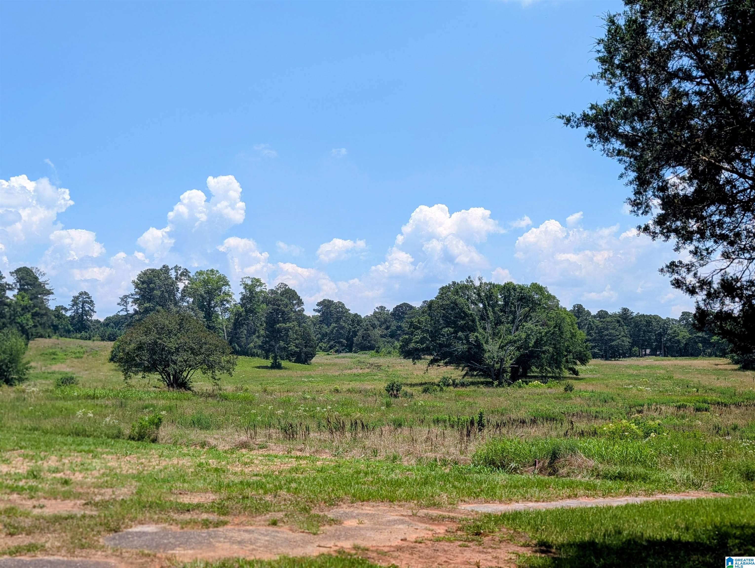 3150 Easonville Road, Unit 9 Pell City, AL 35128 - Photo 13 of 15
