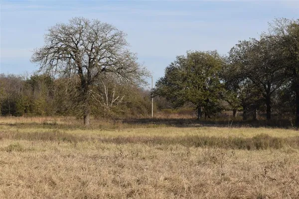 a view of a yard
