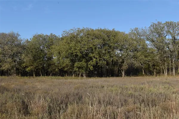 a view of a field