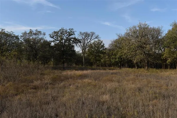 a view of a field and trees in the background