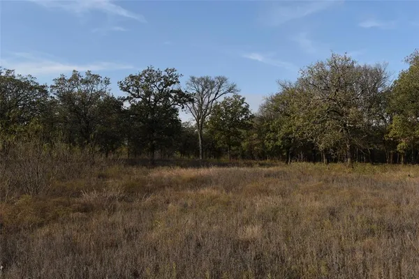 a view of a field and trees in the background
