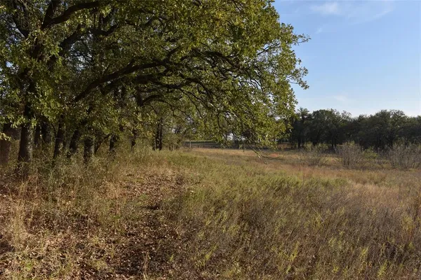 a view of a yard with a tree
