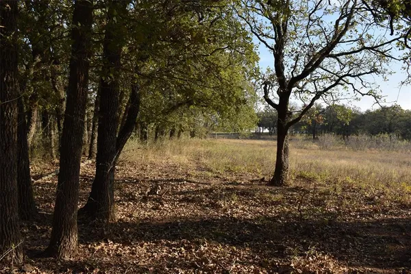 a view of a large yard with lots of green space