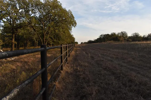 a view of dirt yard with large trees