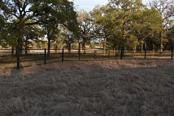 a view of outdoor space with trees all around