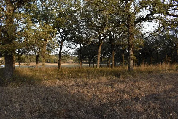 a view of outdoor space with trees