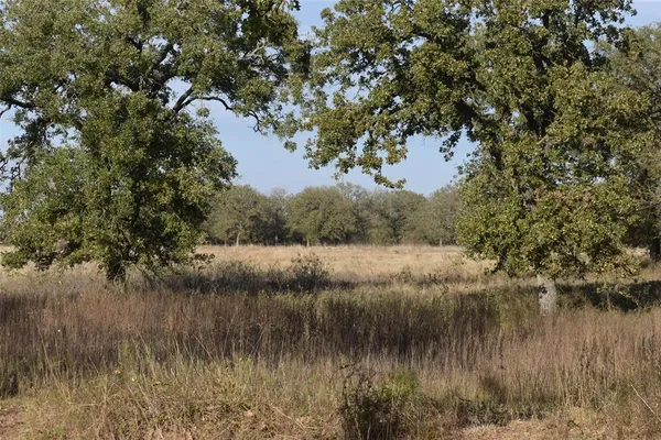 a view of lake