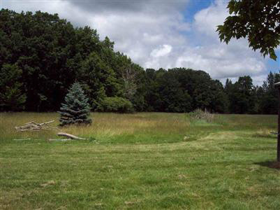 6332 West Wilson Road Clio, MI 48420 - Photo 3 of 12 20232440-2.JPG