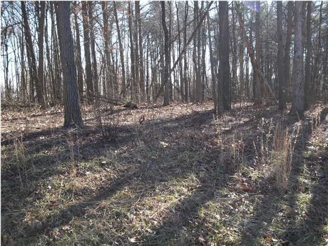 87 Fernhill Road Pikeville, TN 37367 - Photo 8 of 22 Primary Photo