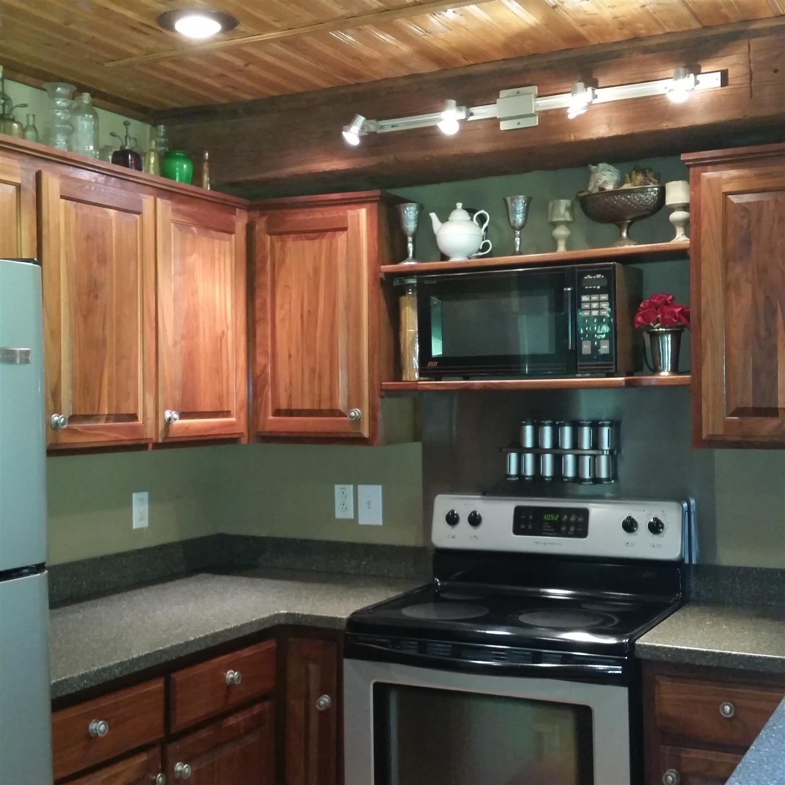 6841 Russell Branch Road Lyles, TN 37098 - Photo 22 of 25 a kitchen with a stove and a microwave