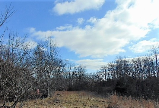 2465 Cedar Road Stamping Ground, KY 40379 - Photo 8 of 13 Gallery Image 8