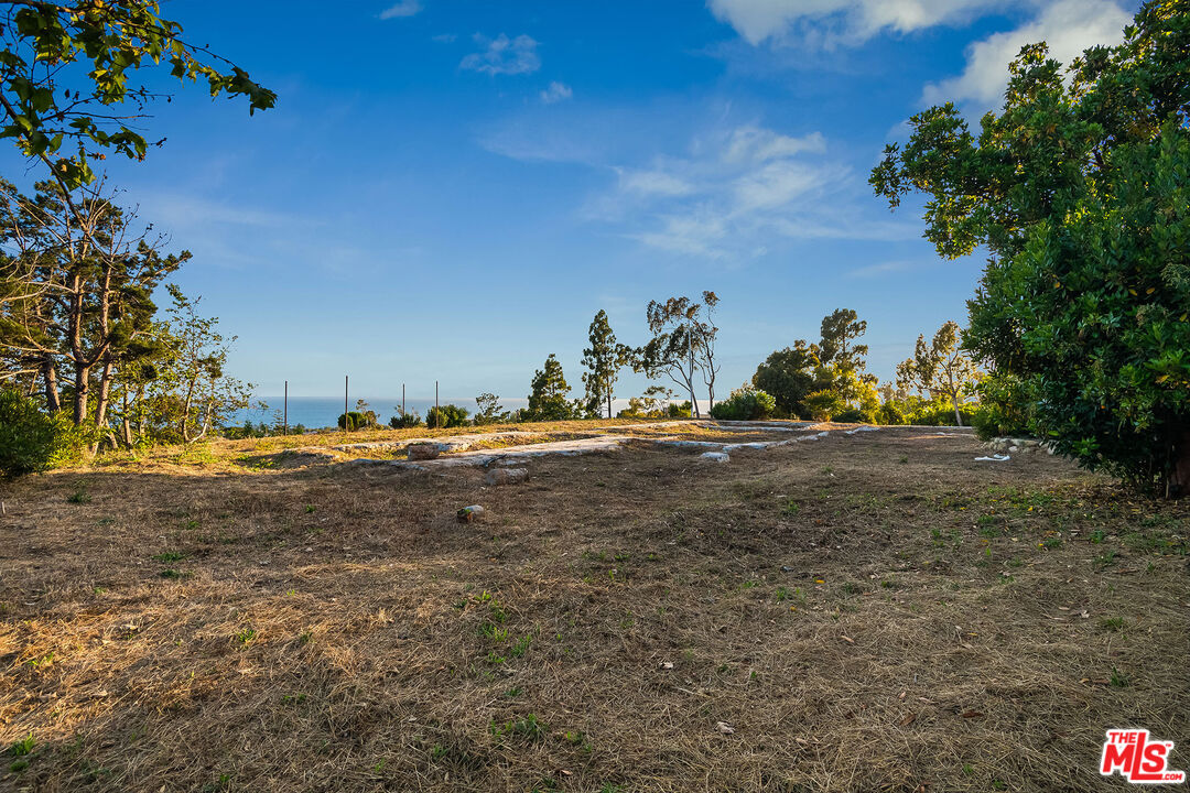 29829 Harvester Road Malibu, CA 90265 - Photo 29 of 44 a view of a field with large trees