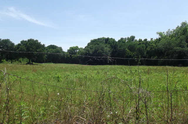 0 Collier Road Lillian, AL 36549 - Photo 1 of 1