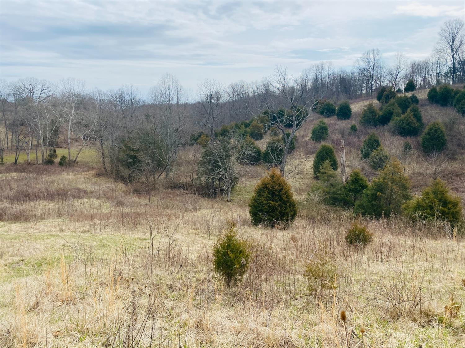 6789 Owenton Road Owenton, KY 40359 - Photo 1 of 14 Photo 1