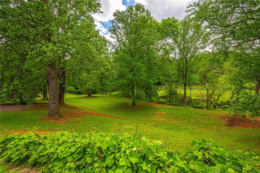 165 Porter Springs Road Dahlonega, GA 30533 - Photo 11 of 144