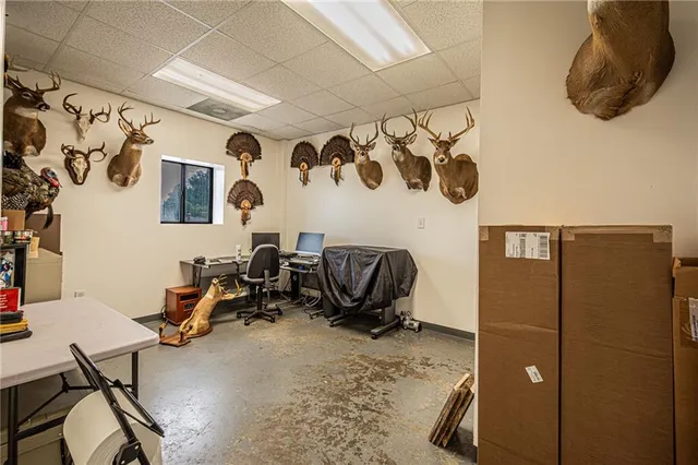 $1,500,000 | 165 Porter Springs Road, Dahlonega, GA 30533