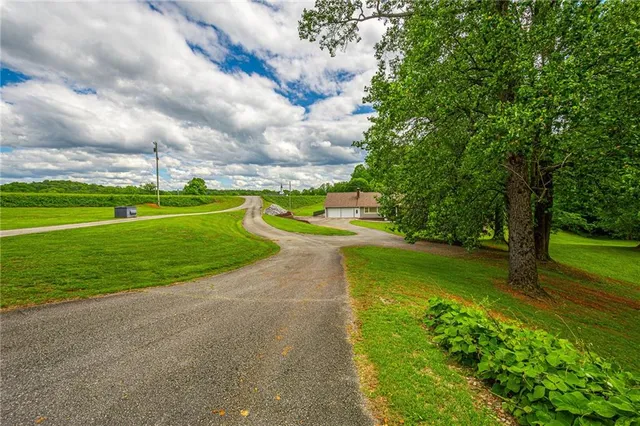 a view of a backyard with a garden and plants
