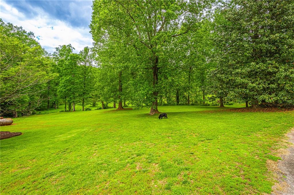 165 Porter Springs Road Dahlonega, GA 30533 - Photo 137 of 144