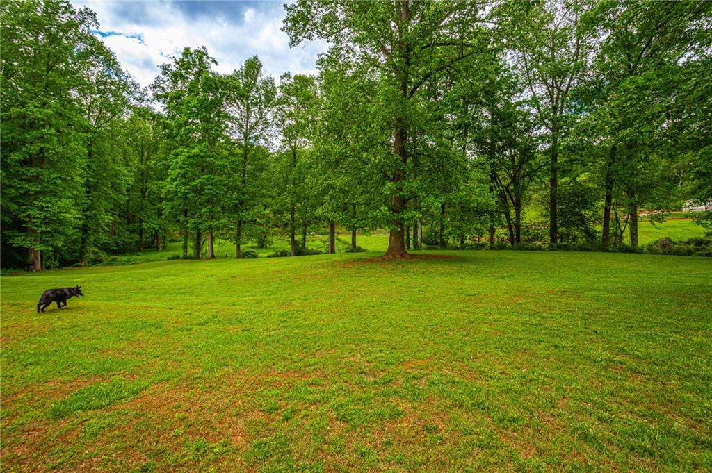 165 Porter Springs Road Dahlonega, GA 30533 - Photo 138 of 144