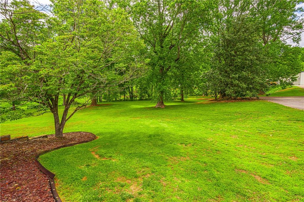 165 Porter Springs Road Dahlonega, GA 30533 - Photo 7 of 144