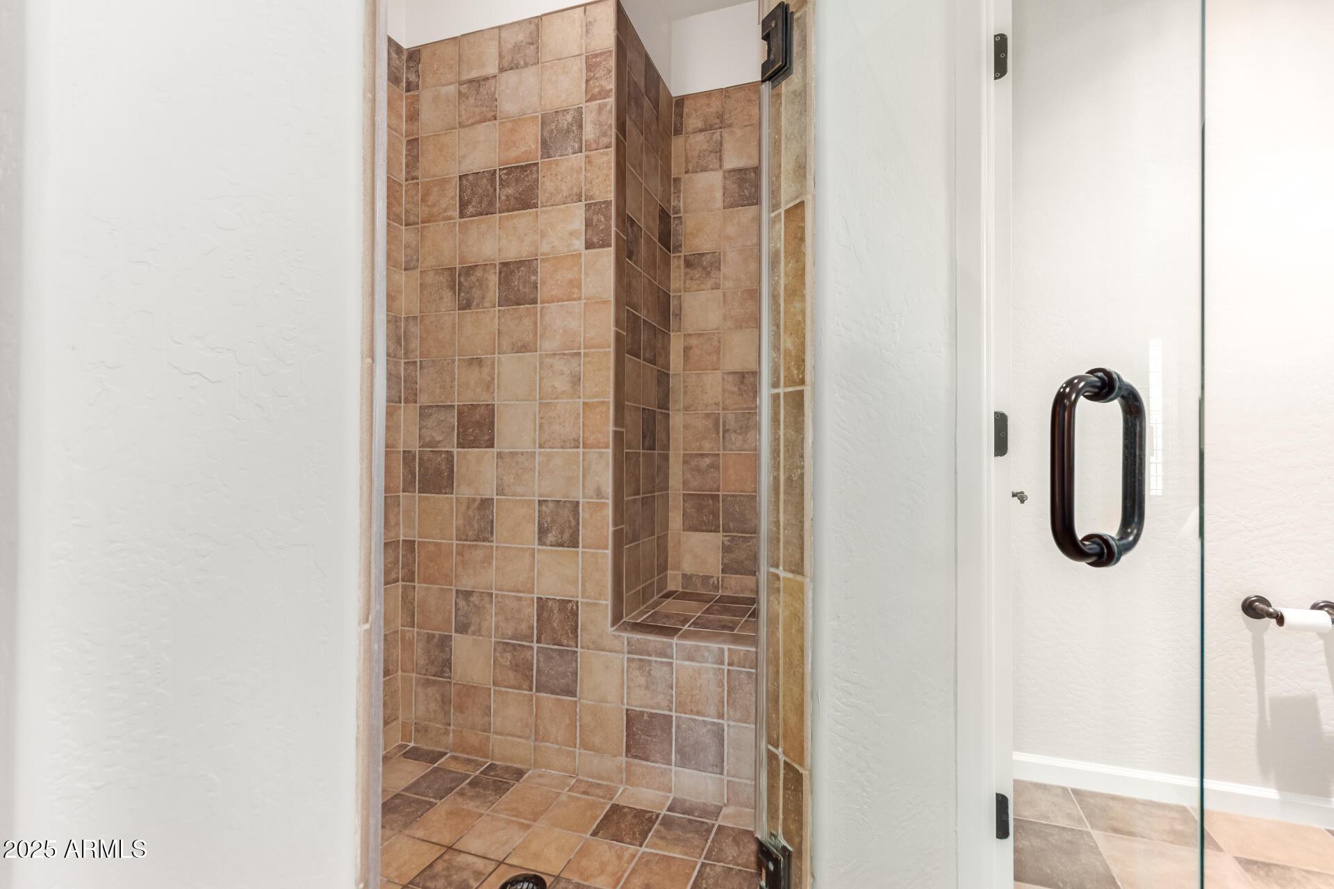 3935 East Rough Rider Road, Unit 1197 Phoenix, AZ 85050 - Photo 17 of 31 a bathroom with a shower