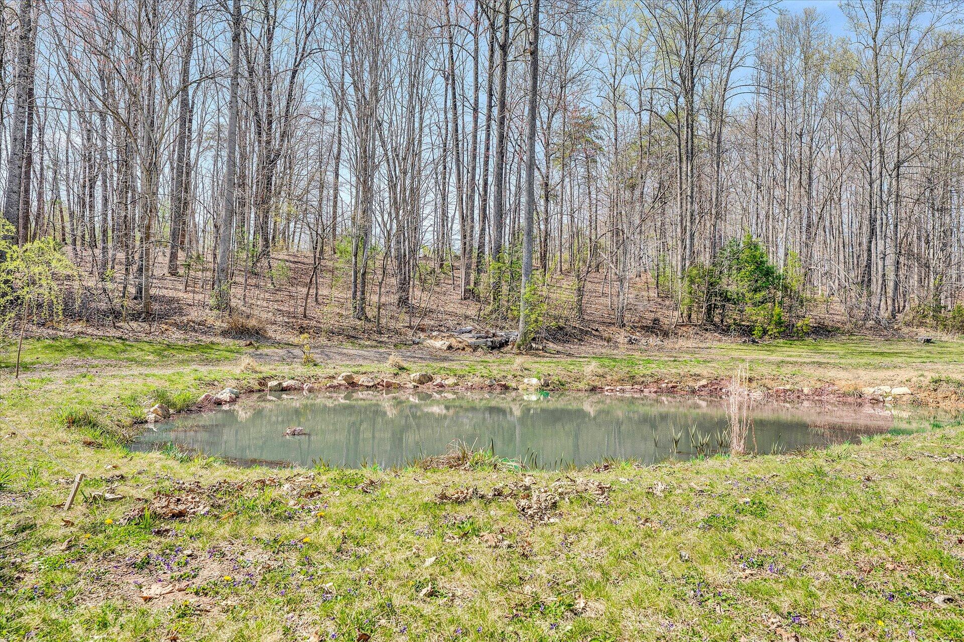 1077 Hopkins Road Rocky Mount, VA 24151 - Photo 51 of 69 a view of swimming pool with a yard and large trees