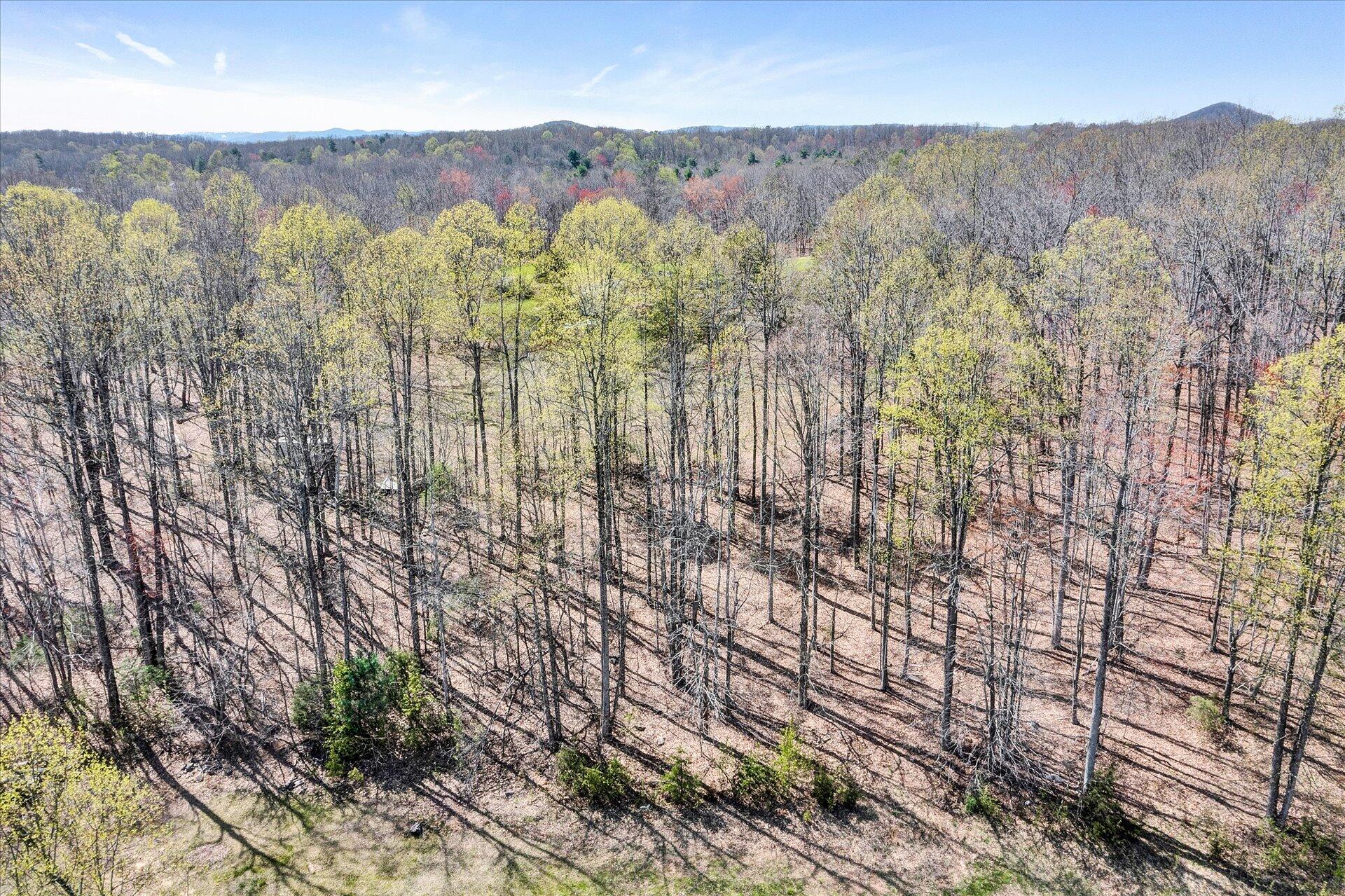 1077 Hopkins Road Rocky Mount, VA 24151 - Photo 59 of 69 a view of a city with lush green forest