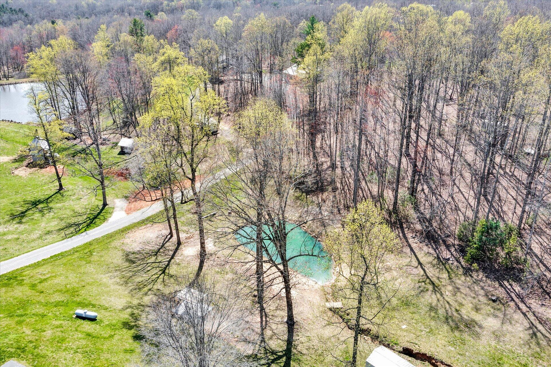 1077 Hopkins Road Rocky Mount, VA 24151 - Photo 60 of 69 a picture of tree