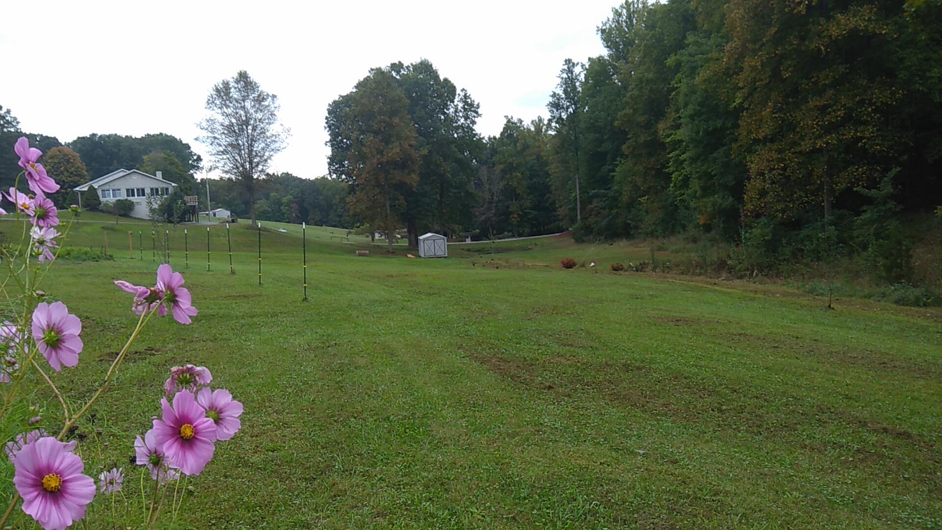 1077 Hopkins Road Rocky Mount, VA 24151 - Photo 68 of 69 Beautiful Yard