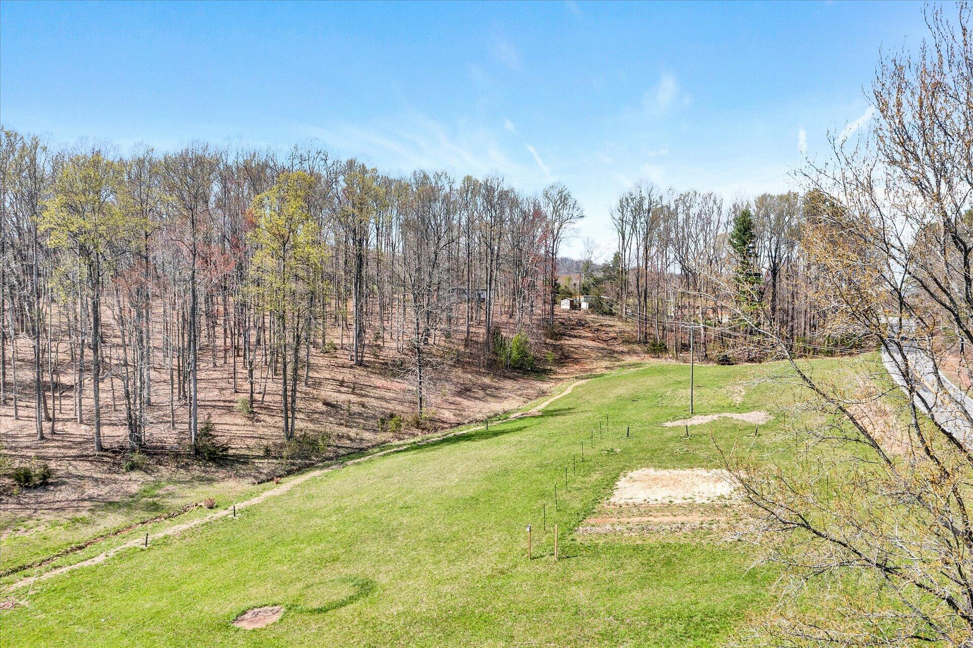 1077 Hopkins Road Rocky Mount, VA 24151 - Photo 8 of 69 a view of a yard with large trees