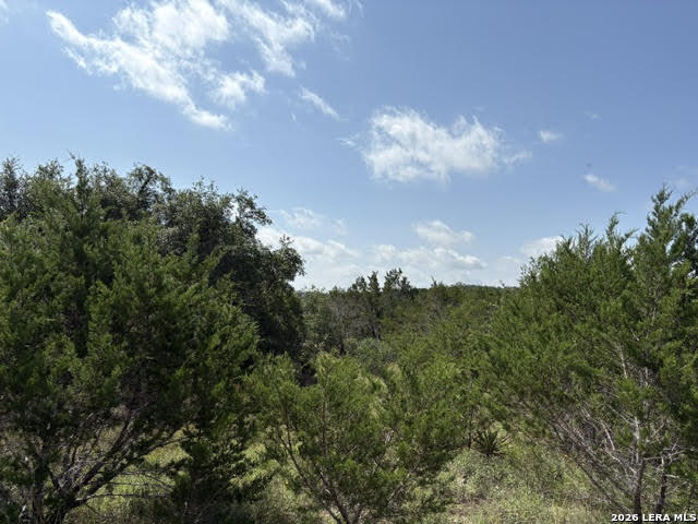 Lot 2025 Split Ridge Spring Branch, TX 78070 - Photo 21 of 35