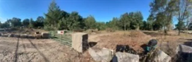 a view of a yard with a tree