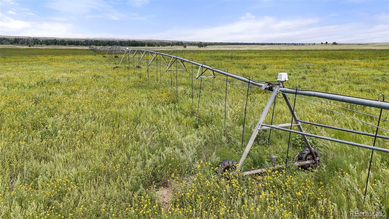 0 Resolis Road Matheson, CO 80830 - Photo 1 of 43 Gallery Image 1