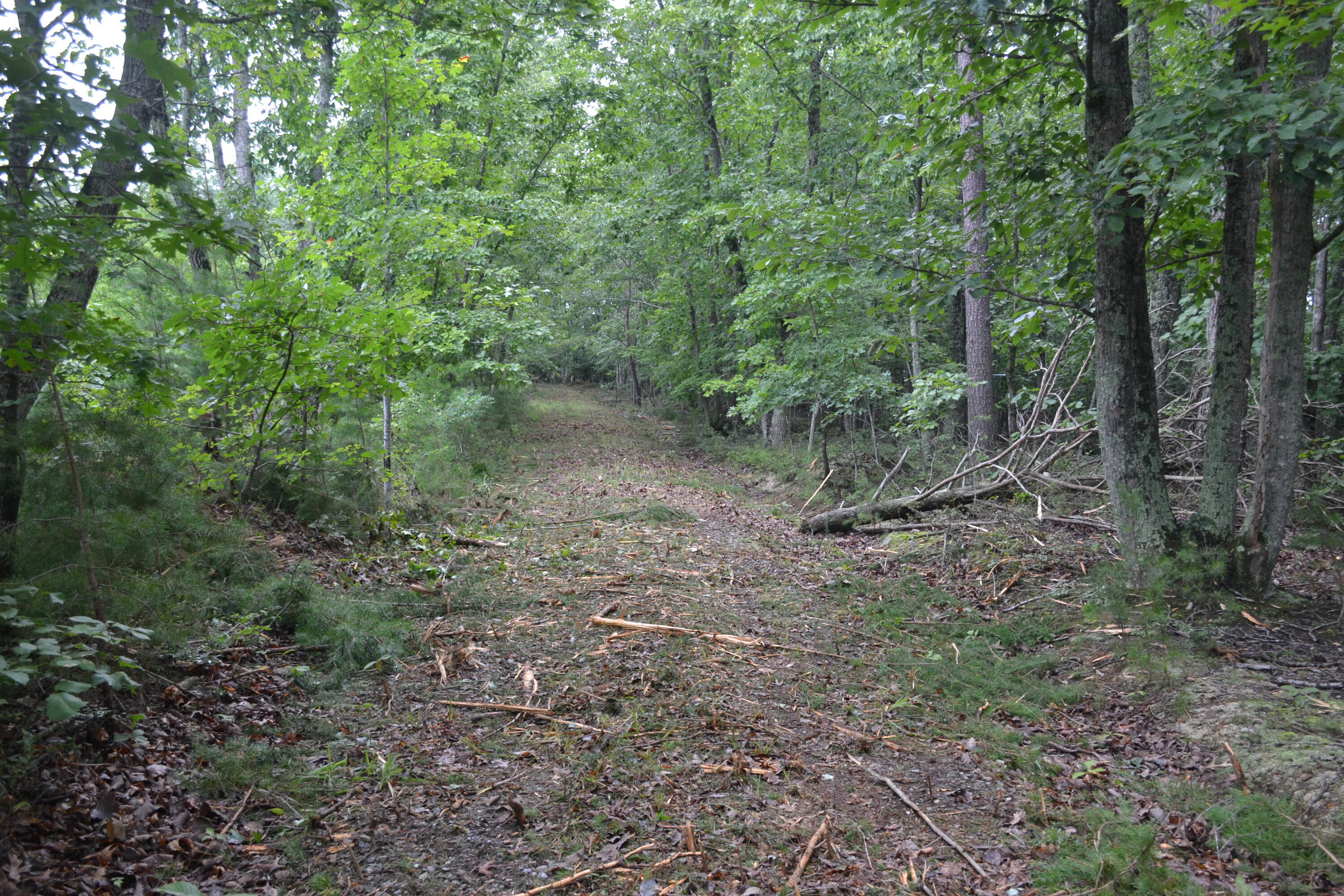 0 Paisley Road Gretna, VA 24557 - Photo 26 of 48 DSC_0001