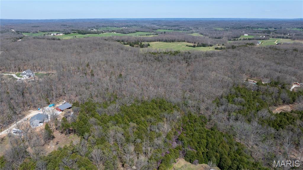 0 North Hendricks Road Robertsville, MO 63072 - Photo 12 of 26