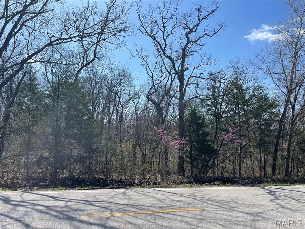 0 North Hendricks Road Robertsville, MO 63072 - Photo 21 of 26