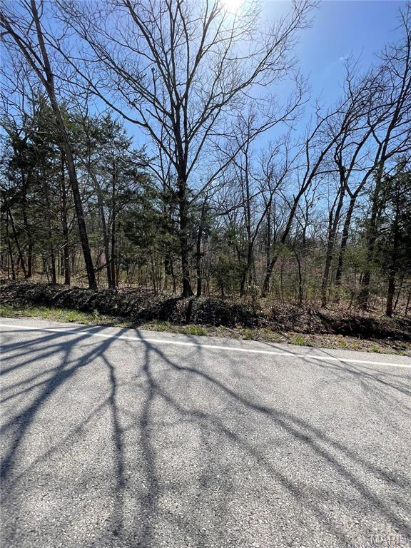 0 North Hendricks Road Robertsville, MO 63072 - Photo 23 of 26