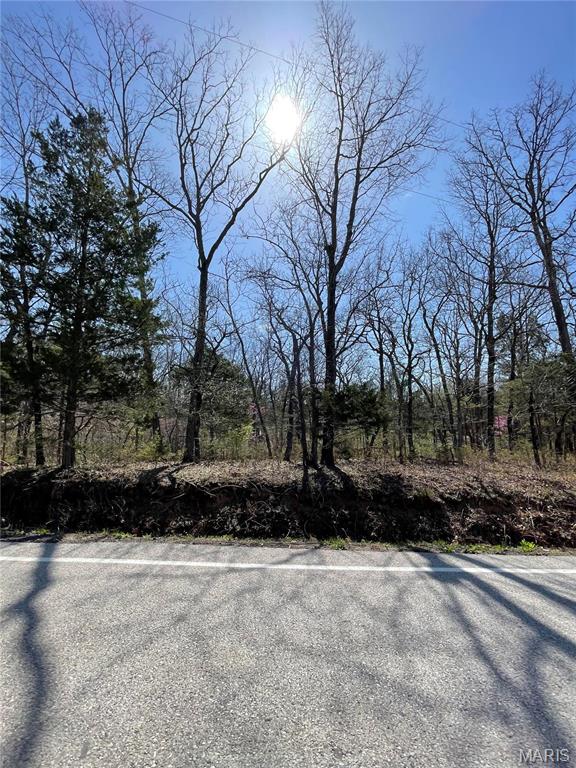 0 North Hendricks Road Robertsville, MO 63072 - Photo 24 of 26