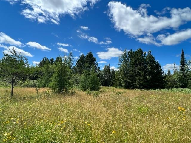 7928 Comet Road Embarrass, MN 55732 - Photo 1 of 1