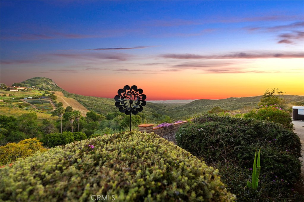 4613 Sleeping Indian Road Fallbrook, CA 92028 - Photo 55 of 75 a view of a yard with an ocean and mountain view