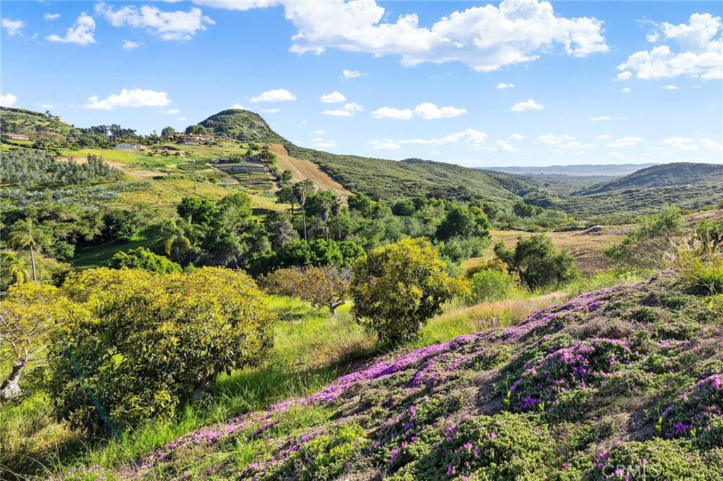 4613 Sleeping Indian Road Fallbrook, CA 92028 - Photo 6 of 75