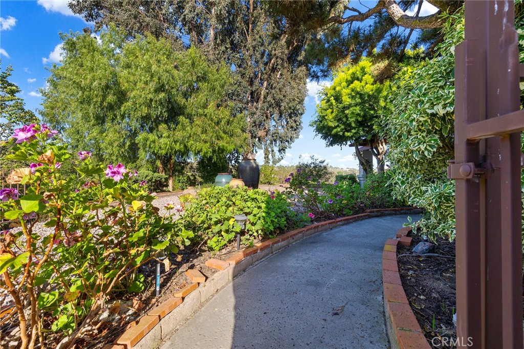 4613 Sleeping Indian Road Fallbrook, CA 92028 - Photo 61 of 75 a view of a garden with plants and large trees