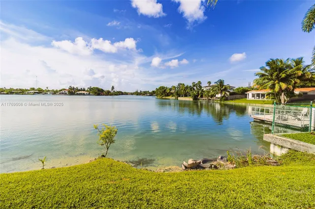 a view of a lake with palm trees