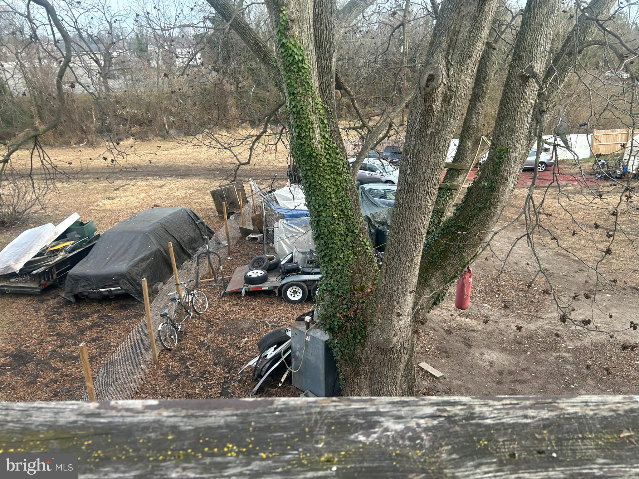 313 Penn Street Salisbury, MD 21801 - Photo 35 of 40 a view of a yard with plants and trees