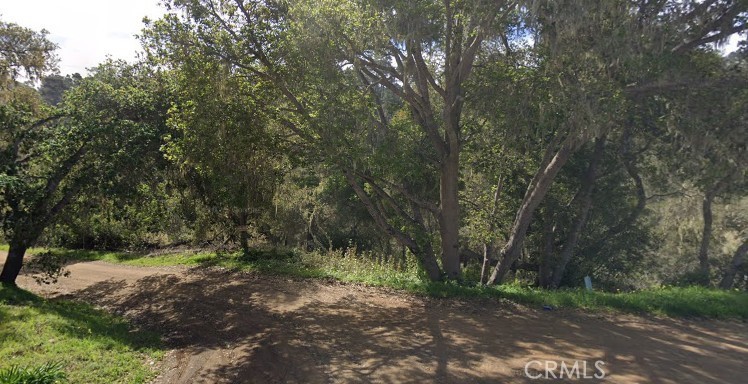 2977 Ramsey Road Cambria, CA 93428 - Photo 2 of 6 a view of a forest with trees