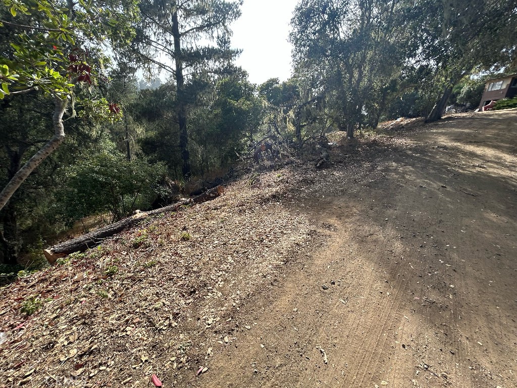 2977 Ramsey Road Cambria, CA 93428 - Photo 4 of 6 a view of a forest with trees in the background