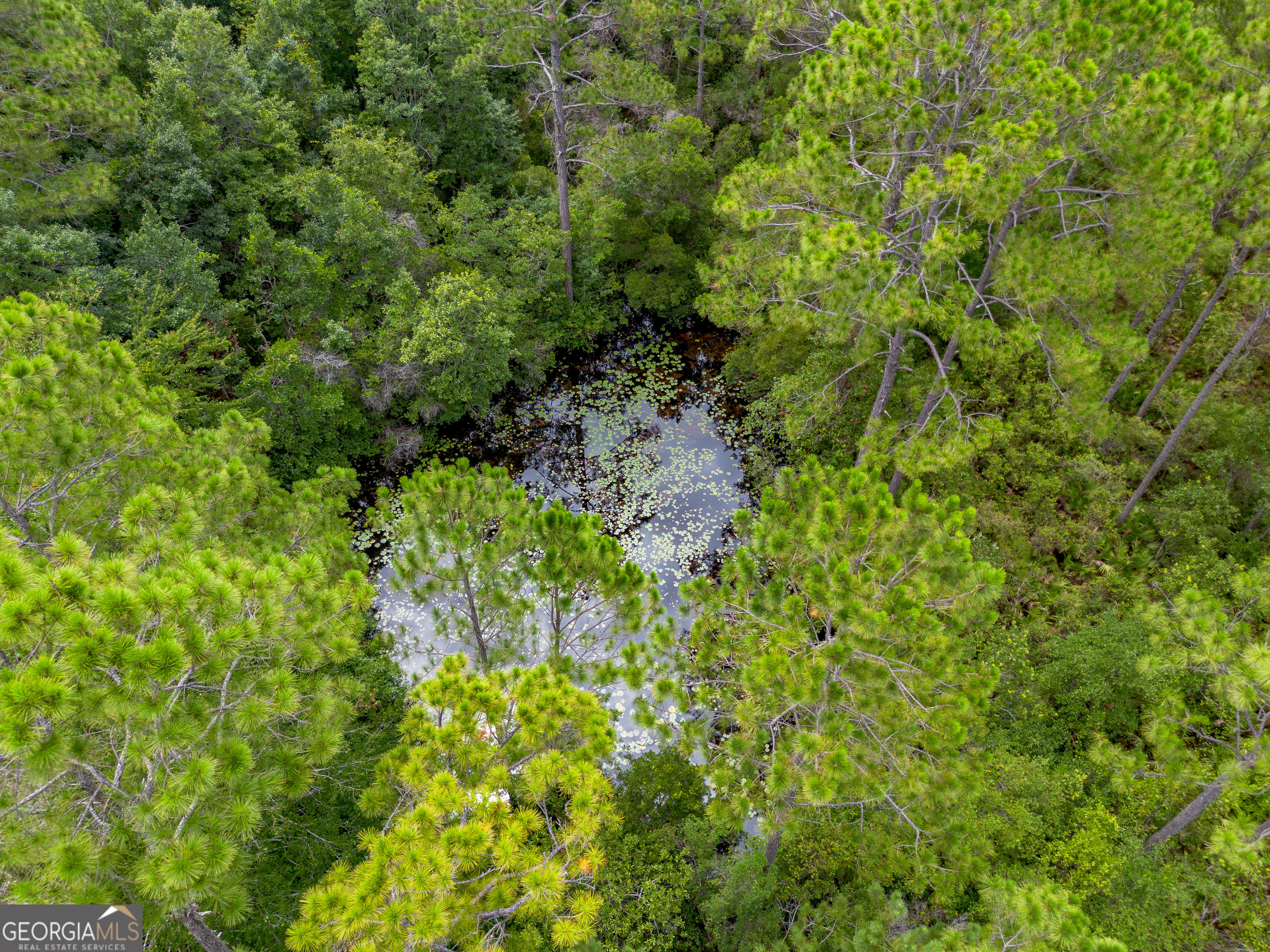 1 Sunset Boulevard Jesup, GA 31546 - Photo 8 of 9